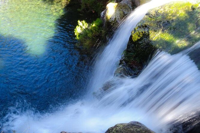 Levada do Alecrim - Rosemary Levada (Full Day Walk) - The 8-hour walking day: what it really means for your body