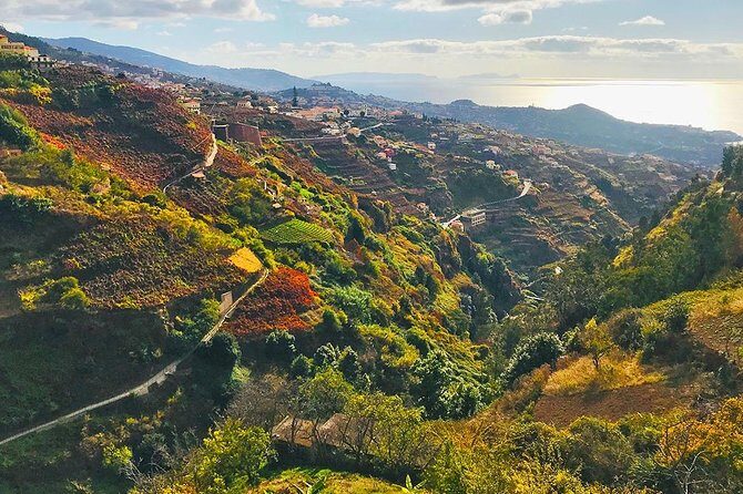 Levada do Norte - Walking Tour - Why Levada do Norte is worth a slot in Madeira
