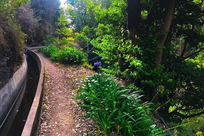 Levada do Norte - Walking Tour - Timing and the real half-day feel