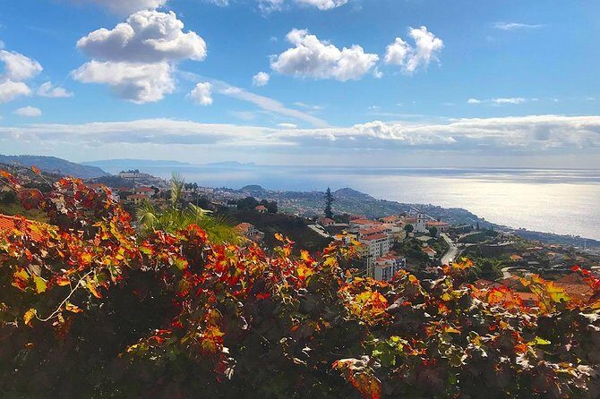 Levada do Norte - Walking Tour - Price and logistics: is $38.40 good value?
