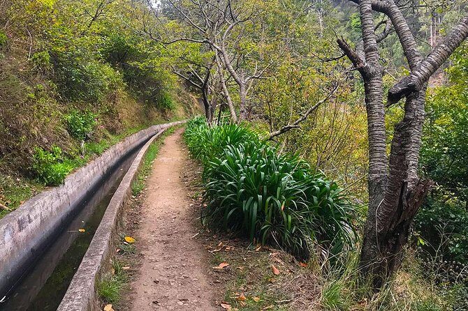Levada do Norte - Walking Tour - What to bring for a narrow, scenic trail