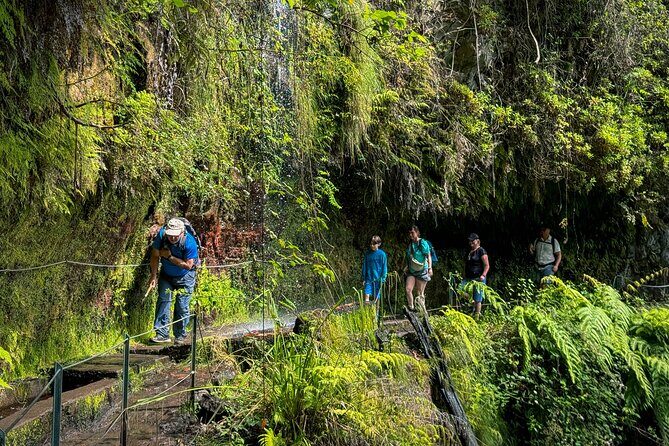 Levada do Rei (PR18) - Through Madeira's Majestic Laurissilva - The hike itself: levada trail time, pace, and footing
