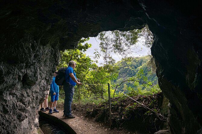 Levada do Rei (PR18) - Through Madeira's Majestic Laurissilva - What you’ll see: wildlife and forest details that make the walk worth it