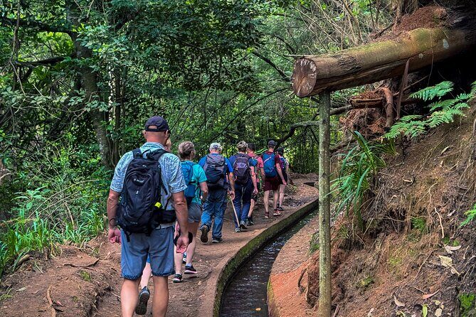 Levada do Rei (PR18) - Through Madeira's Majestic Laurissilva - How the guide keeps the group moving (and keeps you safe)
