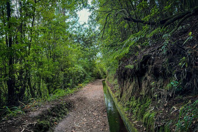 Levada do Rei (PR18) - Through Madeira's Majestic Laurissilva - Timing, weather, and what to do before the hike