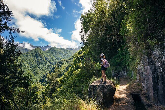 Levada do Rei (PR18) - Through Madeira's Majestic Laurissilva - Free pickup and a smooth start in Funchal and Caniço