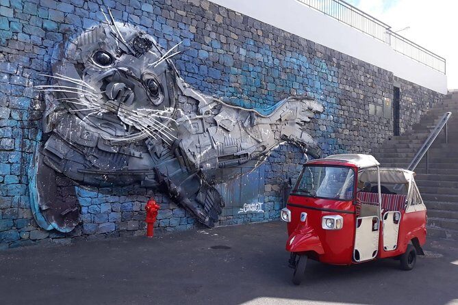 Lobos Chamber - Fisherman Village by tuk tuk - Who this tuk-tuk tour is best for (and who might not love it)