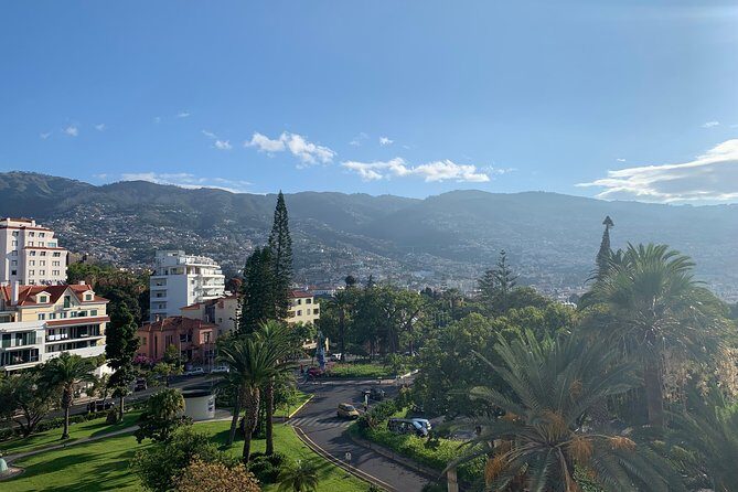 Madeira Airport Round Trip Shuttle Transfers Service - Max 14 Travelers: What That Feels Like in Real Life