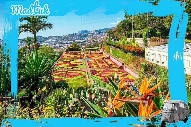 Madeira Botanical Gardens and Old Town Tuk Tuk Tour by MadTuk - Key Things to Know Before You Go