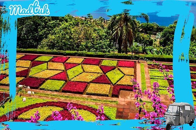 Madeira Botanical Gardens and Old Town Tuk Tuk Tour by MadTuk - Madeira Botanical Garden Stop: Great Views, Separate Entry Tickets