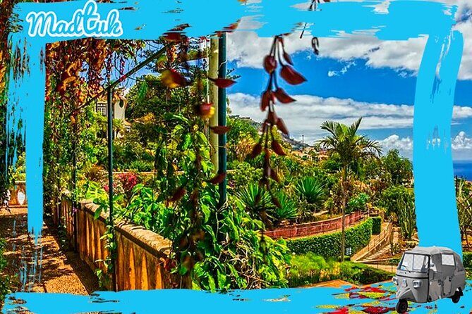 Madeira Botanical Gardens and Old Town Tuk Tuk Tour by MadTuk - Old Town Funchal Passage: Quick Hits for People Who Hate Parking