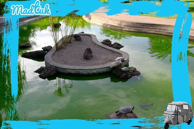 Madeira Botanical Gardens and Old Town Tuk Tuk Tour by MadTuk - Weather, What If It’s Rainy, and When to Book