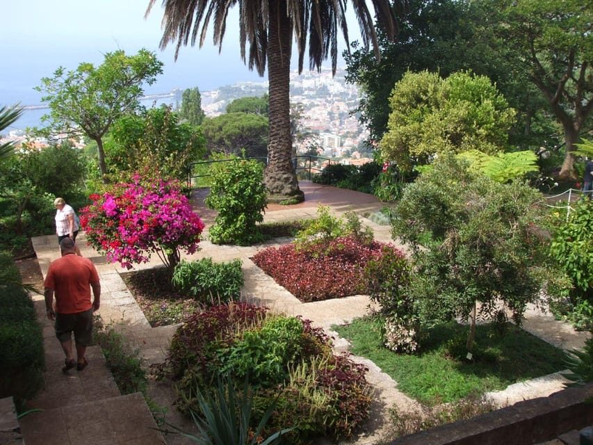 Madeira: Botanical, Monte Palace, and Palheiro Gardens - Key highlights you’ll care about