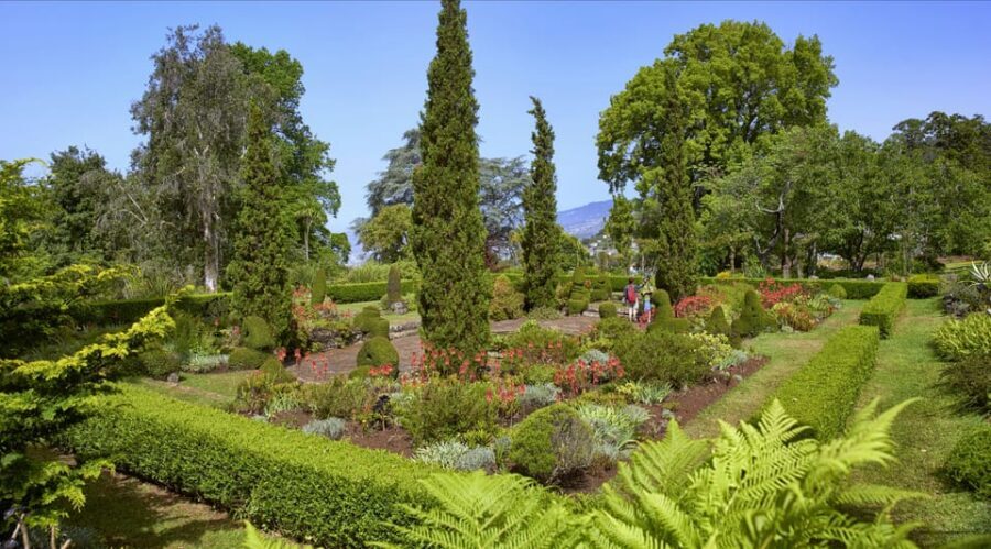 Madeira: Botanical, Monte Palace, and Palheiro Gardens - Price and Value: What $176 Covers and What to Plan For