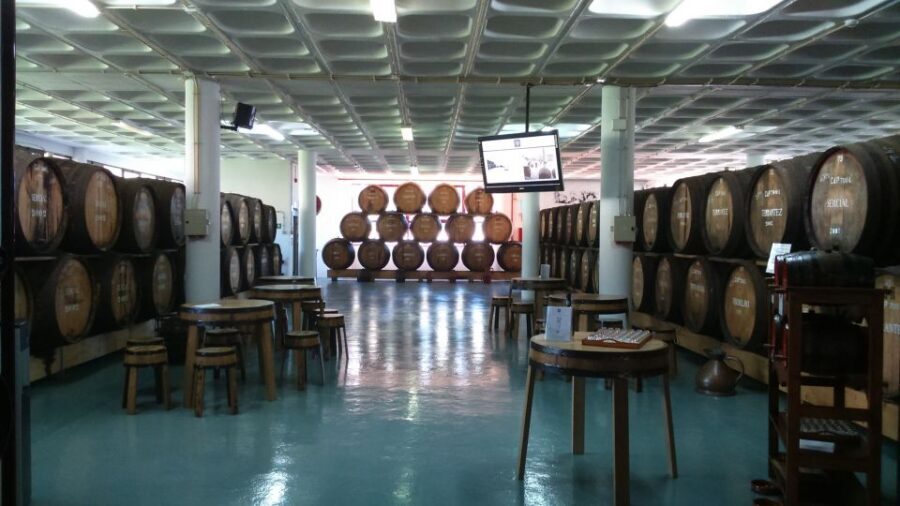 Madeira: Cabo Girao, Jeep Tour Adventure and Wine Tasting - Who this Jeep tour fits best (and who should skip it)