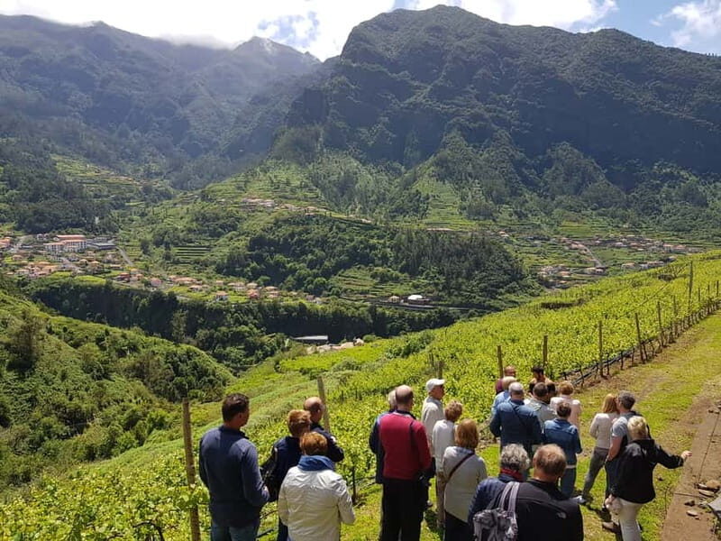 Madeira: Cabo Girão, Wines Experience and Dolphins Watching - Price and value: how $124 stacks up for a full Madeira day