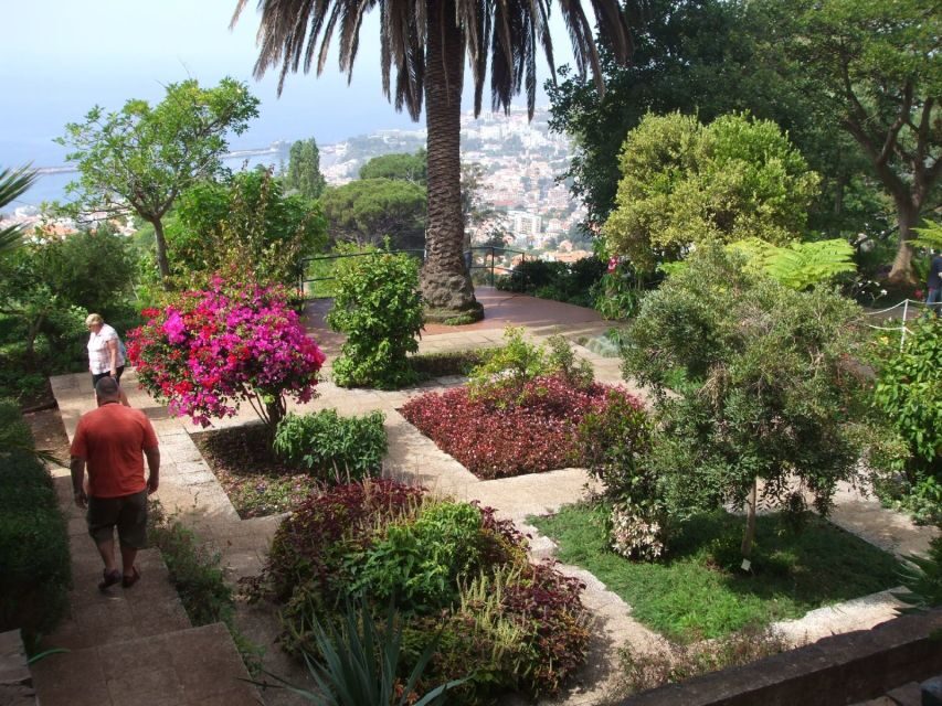 Madeira: Customized 3, 4 or 6-Hour Tour - A half-day Madeira plan that actually feels personal