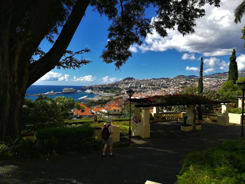 Madeira: Customized 3, 4 or 6-Hour Tour - Monte Palace and the gardens: slow your pace without losing time