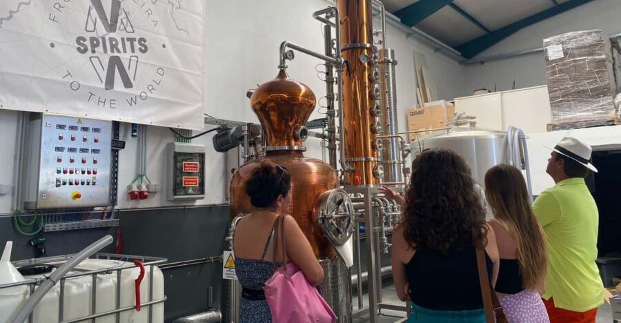 Madeira: Distilleries - Madeira Rum and Gin in 4 Hours: What You’re Really Signing Up For