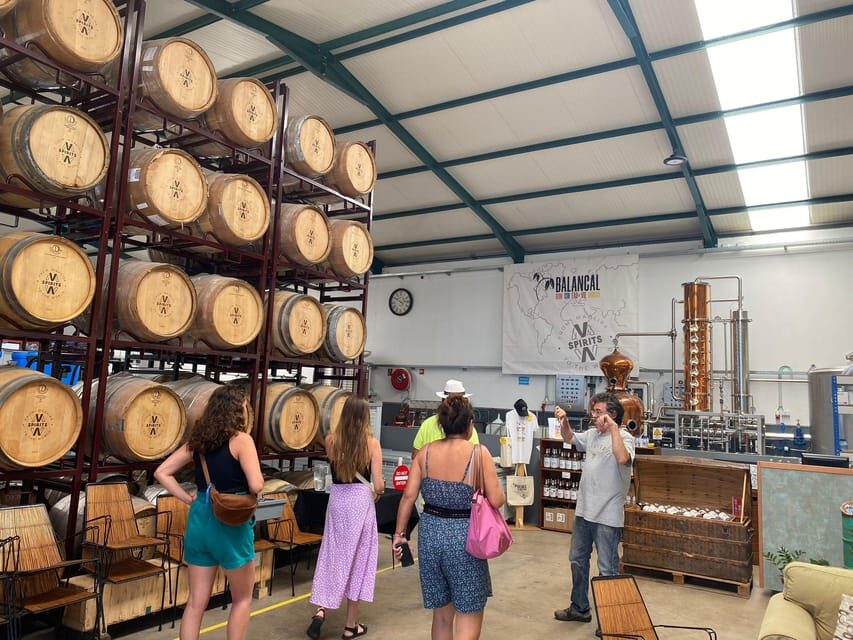 Madeira: Distilleries - Tour Flow and Timing: Why 4 Hours Works