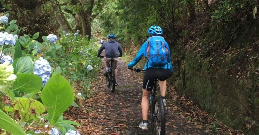 Madeira Easy Levada Biking Tour – Scenic & Relaxed - Break Stops That Keep It Feeling Like a Holiday, Not a Workout