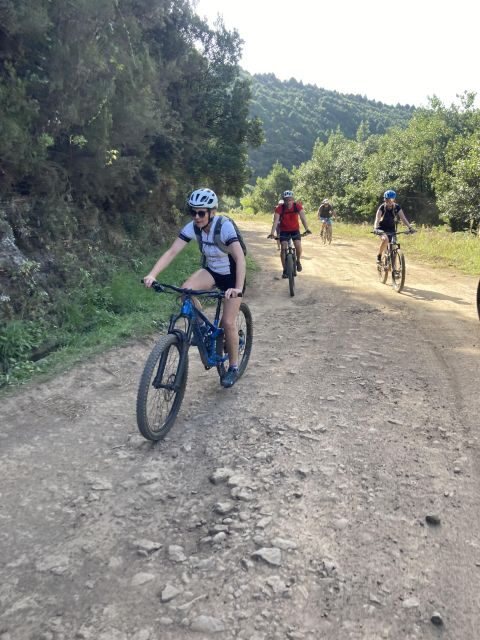 Madeira Easy Levada Biking Tour – Scenic & Relaxed - Meeting Lokoloko and Getting Real Bike Setup Done Right
