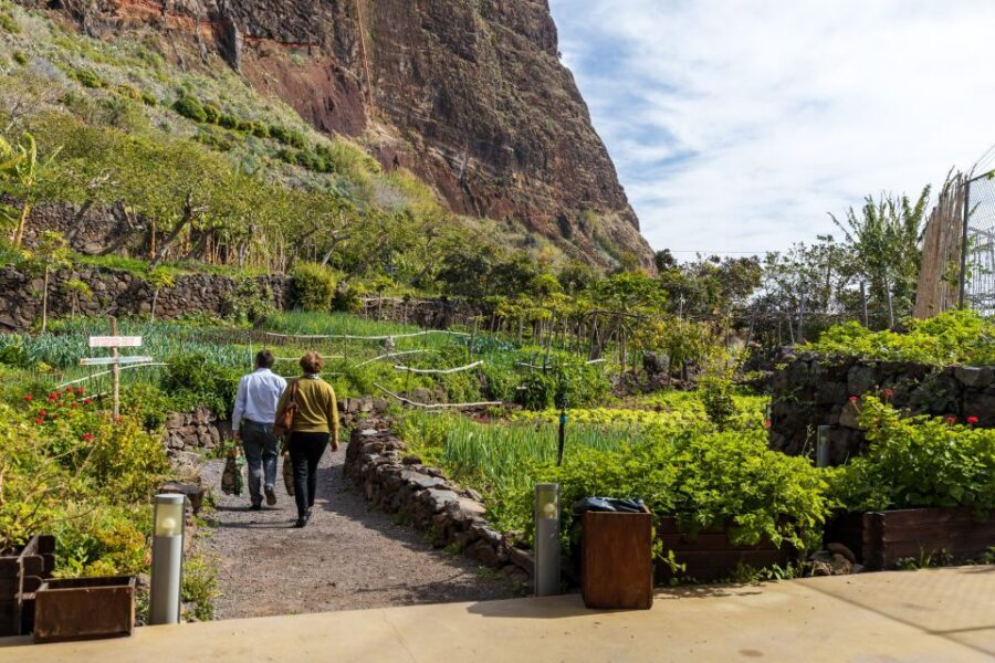 Madeira: Faja dos Padres Private Sightseeing Tour - Price and value: is $117 per person a fair deal?