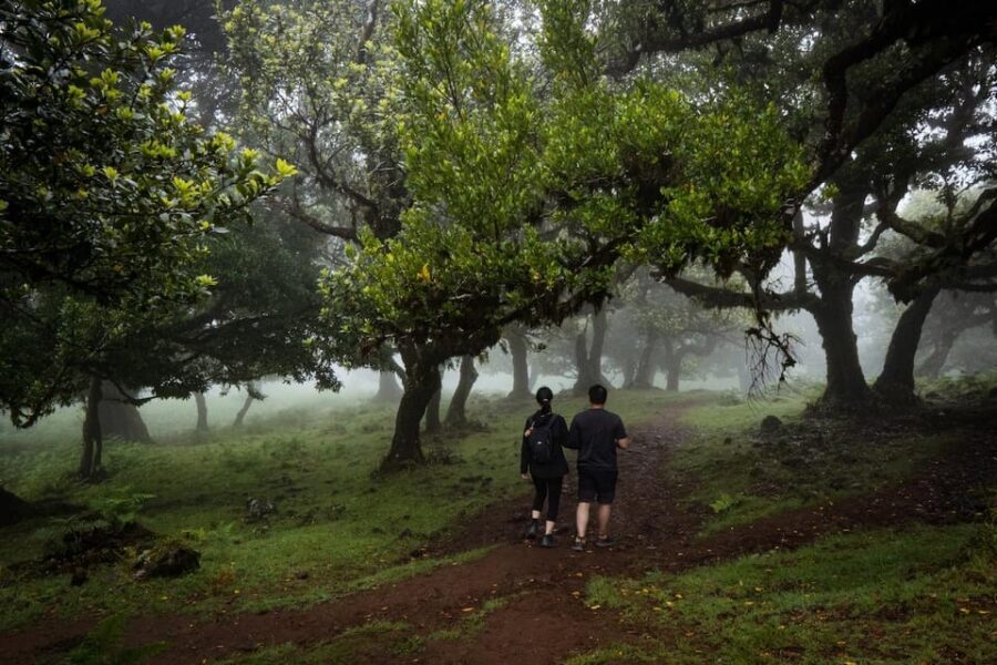 Madeira : Full Day Adult-only west 4x4 Tour - Key things that make this Madeira west 4x4 day work