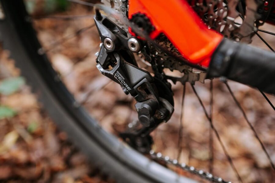 Madeira: Full Day E-Bike Rental - Should you book E-Bike Madeira for a full day?