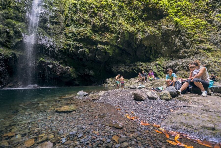 Madeira: Full-Day Laurel Forest Guided Walking Tour - Key things that make this hike worth it