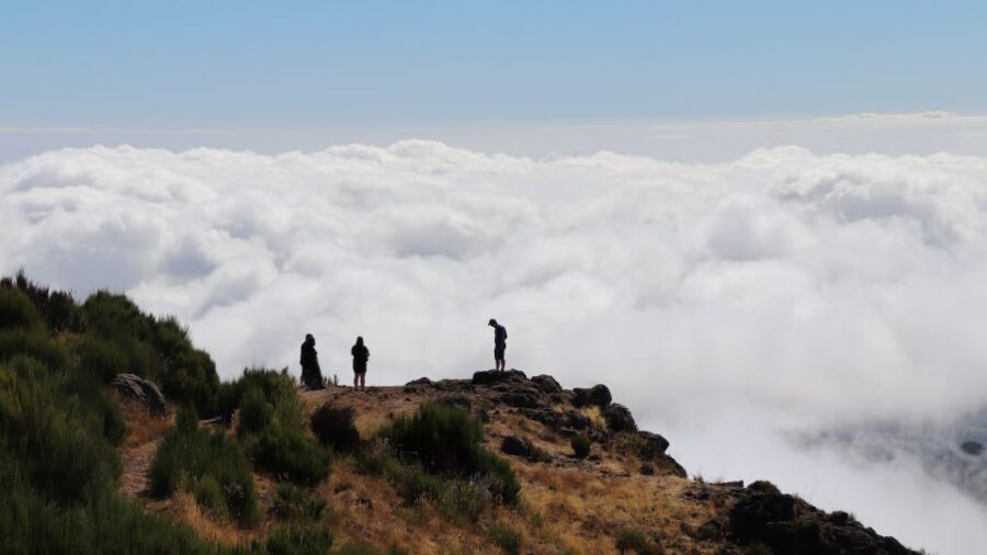 Madeira: Full Day Private Jeep Tour East or West - What private really buys you in a 7.5-hour jeep tour