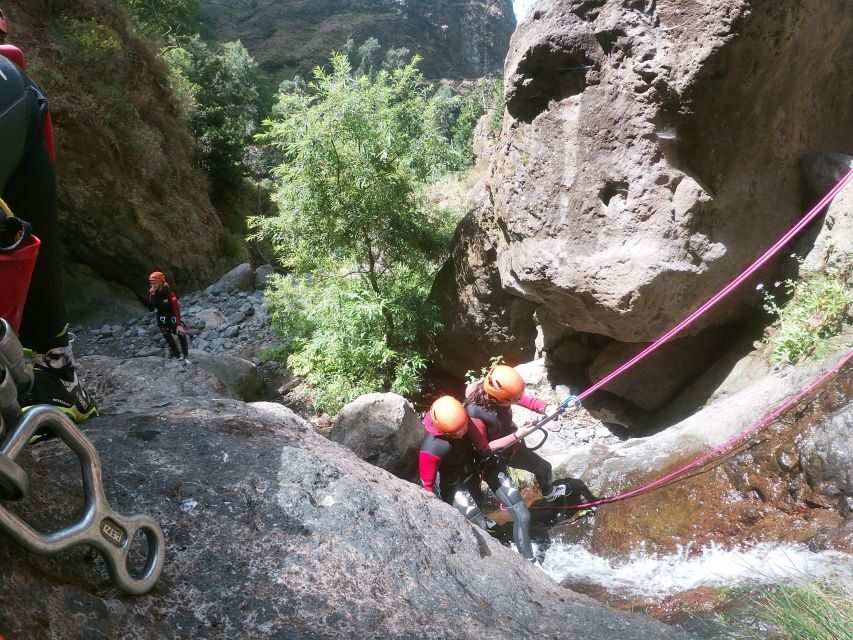 Madeira: Intermediate (Level 2) Canyoning Experience - The Funchal Ecological Park segment and why it matters
