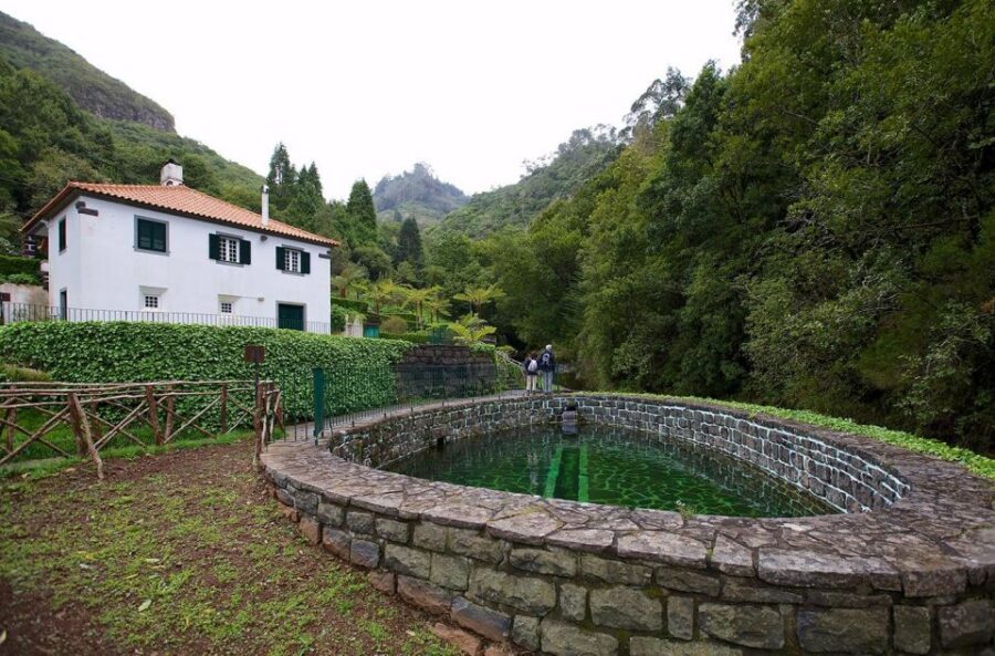 Madeira Island: Full-Day Guided Tour of Eastern Madeira - Key things you’ll notice on this Eastern Madeira day