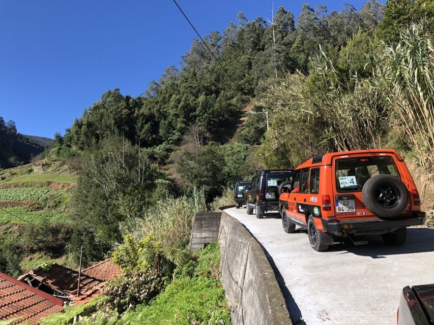 Madeira Island: Full-Day Guided Tour of Eastern Madeira - From Pickup to the Sea: Why This Eastern Madeira Route Works