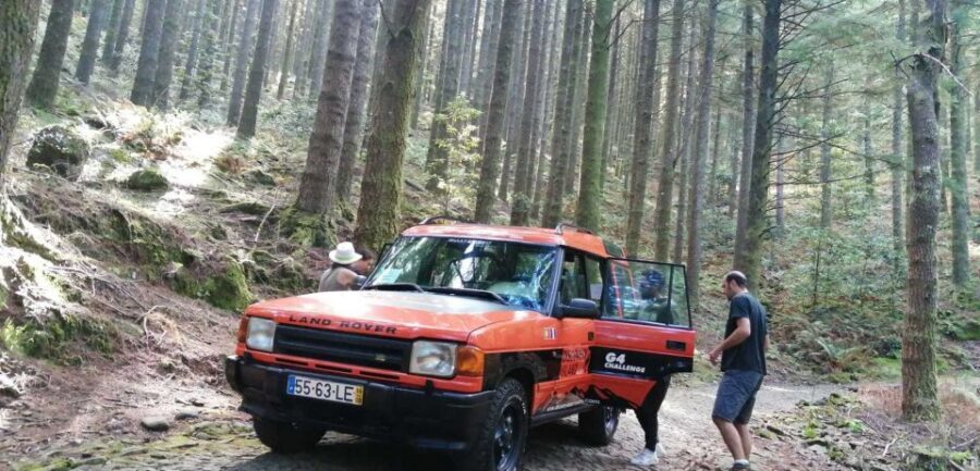 Madeira Island: Full-Day Guided Tour of Eastern Madeira - Ribeiro Frio: Laurissilva Forest, Trout Ponds, and a Real Walk