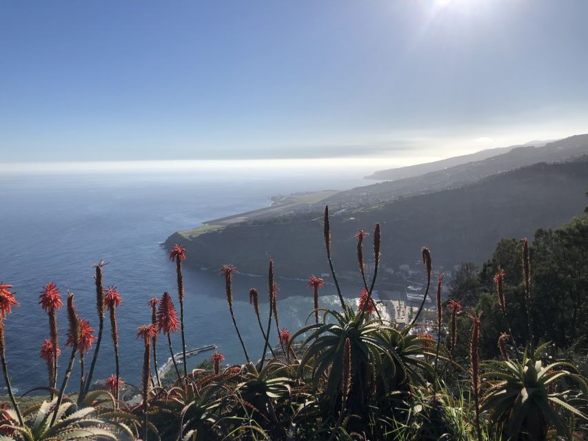 Madeira Island: Full-Day Guided Tour of Eastern Madeira - Porto da Cruz: Rum at Engenhos and Sugarcane Slopes