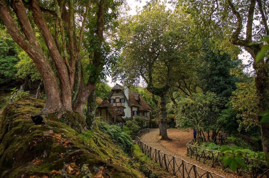 Madeira Island: Full-Day Guided Tour of Eastern Madeira - Caniçal: The Eastern Tip With Sea, Cliffs, and Whaling Memory