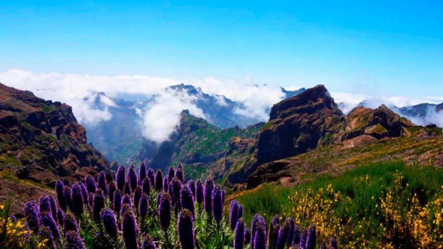 Madeira: Jeep tour Pico Areeiro, Santa Cruz and Cristo Rei - Guides and Group Size: The Difference Between a Tour and an Experience