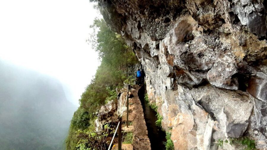 Madeira: Jungle Fever Levada Caldeirao Verde Hike Santana - Key things I’d plan around