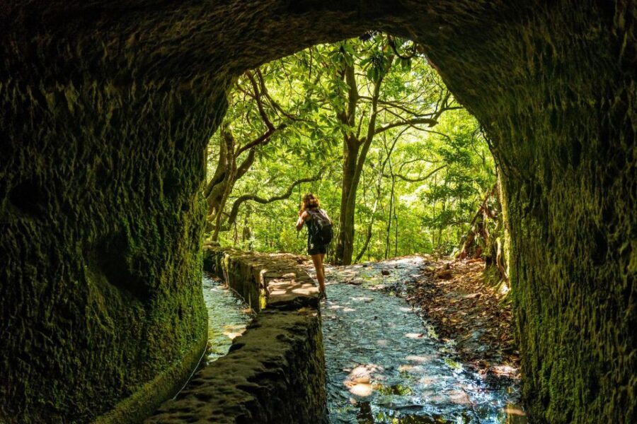Madeira: Jungle Fever Levada Caldeirao Verde Hike Santana - Coffee at Casa das Queimadas: a tiny start that helps a lot