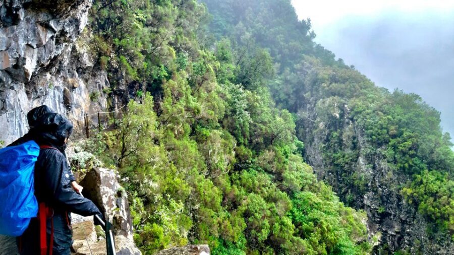 Madeira: Jungle Fever Levada Caldeirao Verde Hike Santana - The main hike: Levada Caldeirão Verde waterfalls, tunnels, and laurissilva