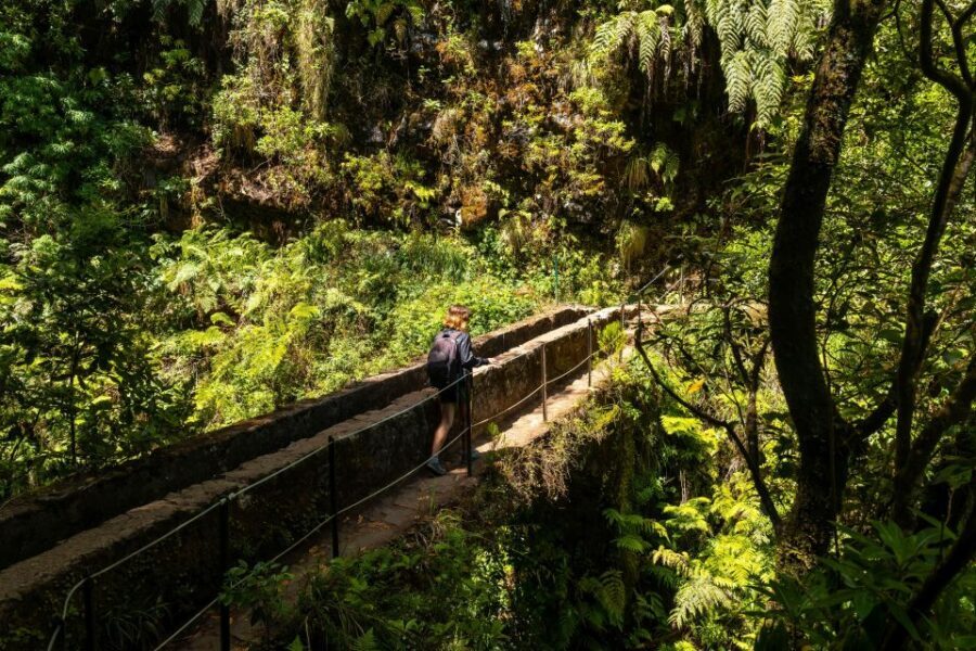 Madeira: Jungle Fever Levada Caldeirao Verde Hike Santana - Santana Traditional Houses: switching from forest to real village life