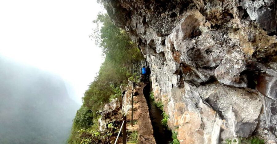 Madeira: Jungle Fever Levada Caldeirao Verde Hike Santana - Poncha time: the included local drink that feels like a celebration