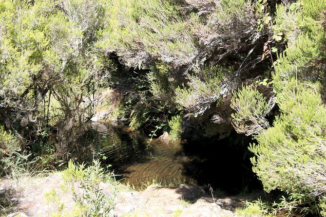 Madeira Lakes - Levada do Alecrim - Key highlights I’d plan around