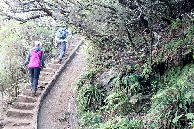 Madeira Lakes - Levada do Alecrim - Stop 2: Levada do Alecrim and the older western levada sections