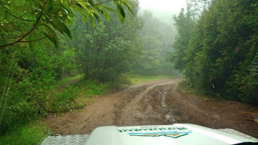Madeira: Mini-Combo East Challenge: Jeep Safari + Levada - A 4x4 + levada combo that actually makes sense