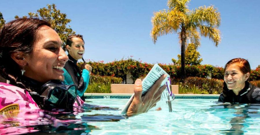 Madeira: Open Water Diver First Certification Course - Key things I’d tell a friend