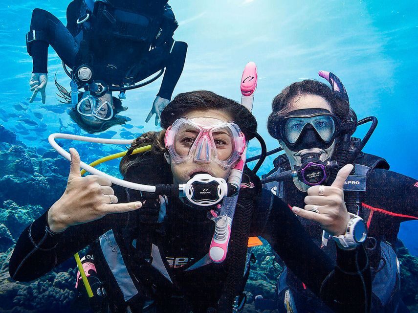 Madeira: Open Water Diver First Certification Course - Languages and communication: how to get the most out of your questions