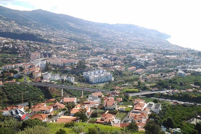 Madeira Pack 1 - Santana + Porto Moniz+ Curral das Freiras - Santana day: traditional houses, mountain viewpoints, truffles, and the east coast vibe