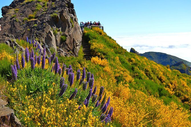 Madeira Peaks - Mountain Walk - Bathrooms and crowds: the real-world stuff that affects your enjoyment